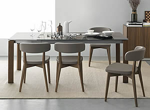 Tavolo rettangolare calligaris